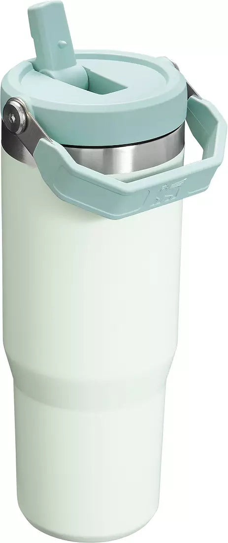 Taylor Swift 30 OZ Ice Flow